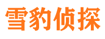 重庆市私家侦探